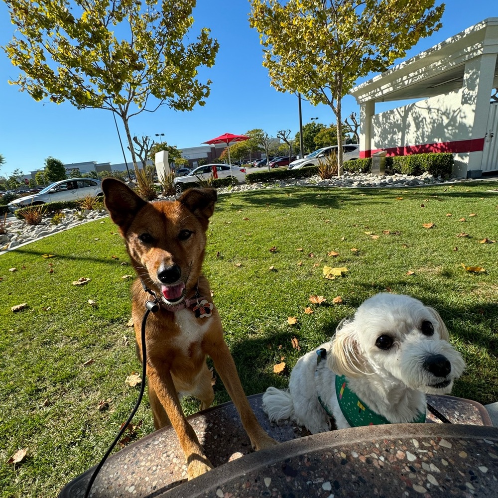 Meet your Posher, Christine